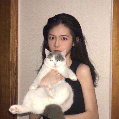 血域传说手游下载
